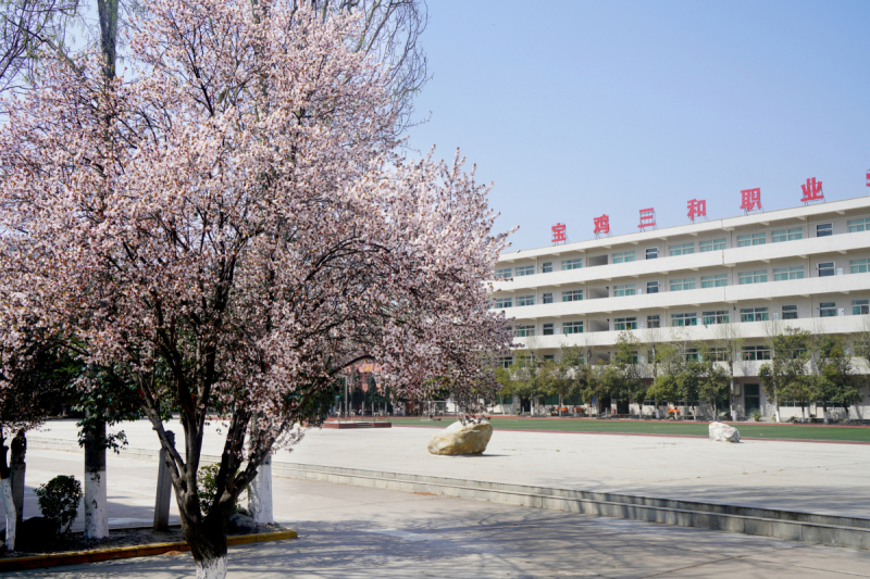 校园花已开  静等你归来