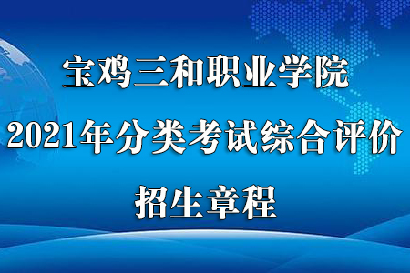 best365官方网站登录入口2021年分类考试综合评价招生章程