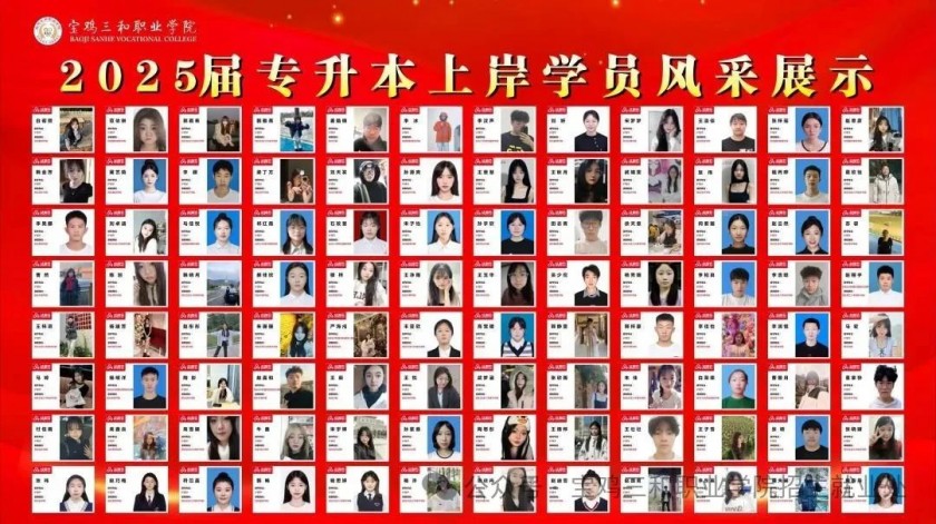 喜报best365官方网站登录入口2025届毕业生专升本录取再创佳...